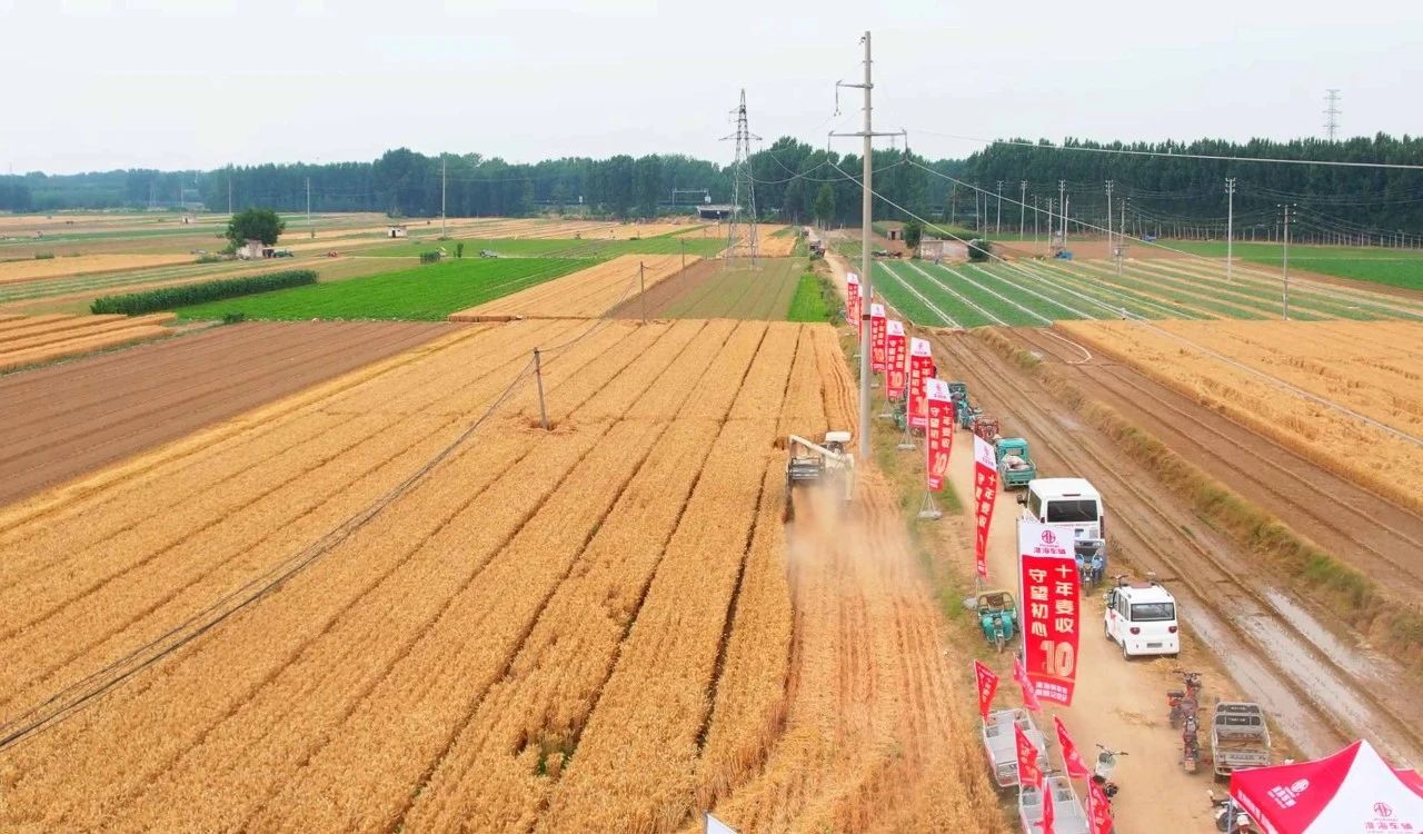 淮海10年麦收绘就乡村振兴大美画卷